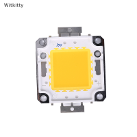 Witkitty 1ชิ้นชิปหลอดไฟ LED DC บนบอร์ด10W 20W 30W 50W 70W 100W 2สี