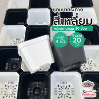 ชุดเซตกระถางเหลี่ยม 4 นิ้ว ( 10 x 7 x 8.5 ซม. ) 20 ใบ พร้อมถาดหลุม 20 ช่อง