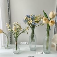 [พร้อมส่ง] แจกันแก้วใสทรงสูง Glass Vase