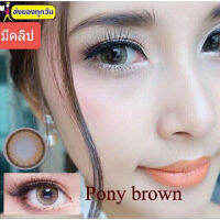 ? Pony (Cuite) ๑ -00 ถึง -700 Pitchylens Wink Sweety plus Lolipop(ระบุขนาดยี่ห้อถามก่อน)Contactlens บิ๊กอาย คอนแทคเลนส์