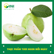 CHỈ GIAO HÀ NỘI Ổi lê sạch chuẩn ngon, trợ giá mùa dịch - HNH Food Farm
