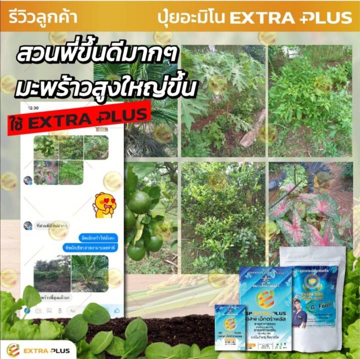 extra-plus-เเอ็กตร้าพลัส-ฮอร์โมนพืช-อาหารเสริมพืช-เร่งผลผลิต-เร่งใบ-เร่งดอก-โตไว-แข็งแรง-ปลอดภัยไร้สารพิษ-6-ซอง-เล็ก