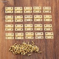 20Pcs Decorative Small Jewelry Wood Box Door Hinges 18x16mm Mini Cabinet Hinges Furniture Fittings Furniture Hardware With Screw