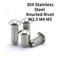 〖Maximus metals〗100ชิ้น304สแตนเลส GB827ปุ่มหัวกลม Knurled ก้านหมุดแข็งสำหรับฉลากชื่อแผ่นความยาว6 20มิลลิเมตร