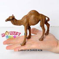 Monkey Toys - โมเดลสัตว์ Camel อูฐ หนอกเดียว ขนาด 14.50 CM (จากหาดใหญ่)