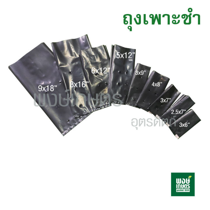 ถุงเพาะชำ-ถุงเพาะกล้า-1-กิโลกรัม-ถุงเพาะปลูกผัก-วัสดุเพาะปลูก-วัสดุปลูกพืช-ถุงเพาะสีดำ-ถุงเพาะดอกไม้-อุปกรณ์การเกษตร-พงษ์เกษตรอุตรดิตถ์