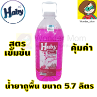 Haby น้ำยาถูพื้น สูตรพิเศษเพื่อดับกลิ่นไม่พึงประสงค์ ขนาด 5.7 ลิตร สีชมพู Pink Fresh