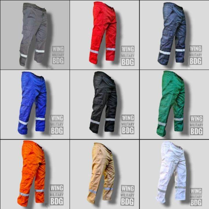 Scotlet Wearpack Safety Work Pants/PDL Model Project Pants/Pants