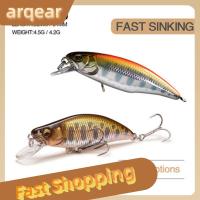 ARQEAR529453ตะขอตกปลาลายปลากะพงเหยื่อตกปลารูปปลาตกเล็กปลาสร้อยแบบจมดีไซน์แบบปลาเหยื่อญี่ปุ่น