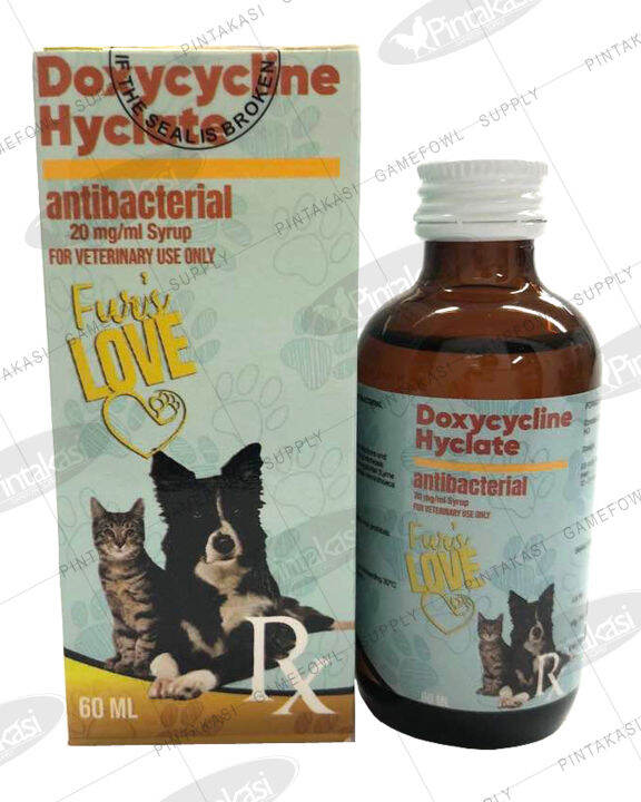 gabapentin for cats expiration