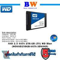 WD BLUE ( WDS250G2B0A ) 3D NAND SATA รับประกัน 5