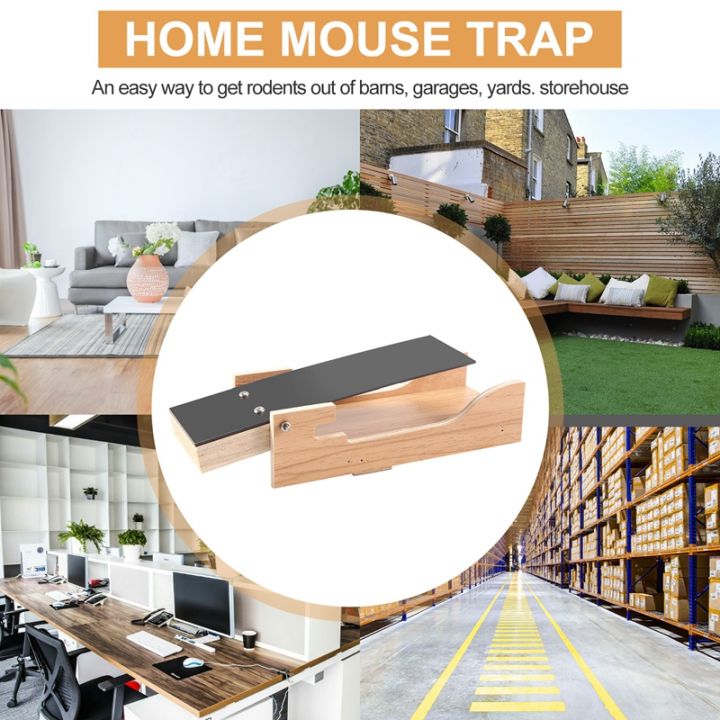 walk-the-plank-auto-reset-mouse-trap-kill-no-kill-trap-for-mice-rats-rodents-amp-other-pests