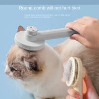 Pet Cat Brush Dog Comb Self Cleaning Slicker Brush For Cat Dog Hair Removes Tangled Pet Hair Massages Comb Cats Accessories Brushes  Combs