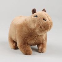 【CC】 18cm Capybara Fluffy Soft Stuffed Kids Birthday Room