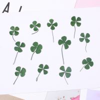 12pcs 1.5-2cm Real Press flower dried flower Four Leaf Clover natural Flower Stickers DIY Resin Jewelry Making