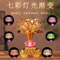 ๑□ Colorful Lamp Bodhisattva Offering New Front of Everlasting Lamp