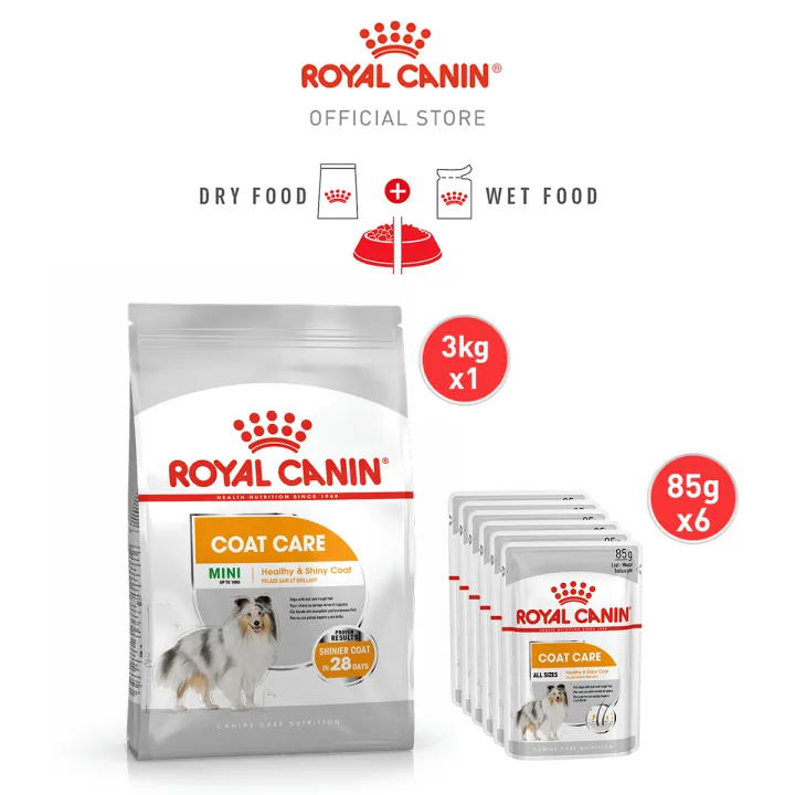 Royal Canin Mini Coat Care (3kg) Dry + Coat Loaf (85g x 6 pouches) Wet