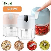 【CC】♚✼✿  250mL Electric Garlic Masher Cutter Ginger Blender Machine for Food Crusher Vegetable USB Charging