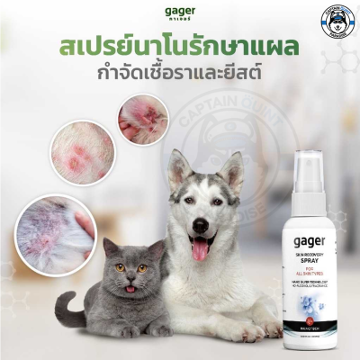 Gager Nano Silver Spray สเปรย์นาโนรักษาเชื้อรา แผลติดเชื้อ แผลจากการผ่าตัด และอักเสบ รักษาโรคผิวหนัง สำหรับสุนัข/แมว