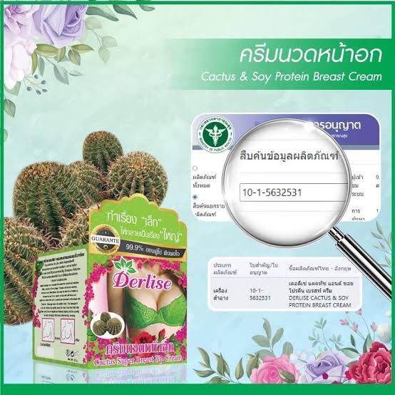 derlise-algae-super-breast-up-cream-สีเขียว-ครีมนวดหน้าอกเดอลิเซ่-ผสมตะบองเพรชและถั่วเหลือง-ปริมาณ-50-กรัม