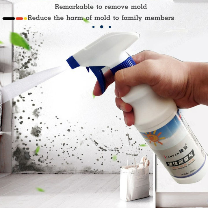 chudankuai Mold Buster Your GoTo Solution for Wall Mold and Mildew ...