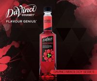 [บ้านกาแฟ] Davinci Gourmet Raspberry Rhapsody Syrup 750 ml.