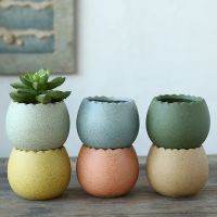 Egg shaped succulent plant flowerpot garden decoration furniture simple office ceramic 蛋形多肉植物花盆 花园装饰 家具小摆件 简约办公室摆件陶瓷花盆