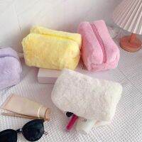 Fur Makeup Bags For Women Soft Travel Cosmetic Bag Organizer Case Young Lady Girls Make Up Case Necessaries 1 Pc Solid Handbags