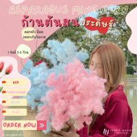 ก้านต้นสนพุ่มฟู ตกแต่งบ้าน?ก้านประดิษฐ์ ก้านแซมช่อดอกไม้?สีน่ารัก ตกแต่งได้ทุกโอกาส ช่อใหญ่ พุ่มหนา?