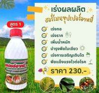 ซุปเปอร์อาหมี่