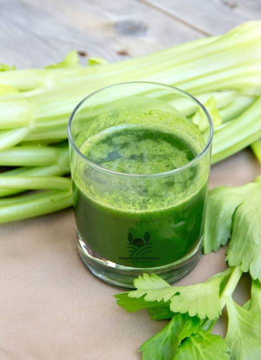 คื่นช่่ายยักษ์ฮอลแลนด์-celery-holland-seed-เมล็ดพันธุ์คื่นฉ่าย-บรรรจุ-100-เมล็ด-10-บาท