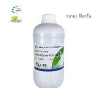 iKnowZyme GA 200 L เอนไซม์กลูโคอะไมเลส ขนาด 1 กิโลกรัม