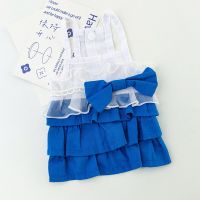 Dog Pet Clothing Blue Suspender Patchwork Cake Dress for Dogs Clothes Cat Small Cute Thin Summer Fashion Yorkshire Accessories Dresses