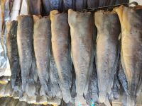 ปลาดุกร้า ปลาดุกร้าทะเลน้อยพัทลุง ปลาดุก สด สะอาด กลิ่นหอม อร่อย แพ็คละ 3-4 ตัว (หนัก 300-400 g ตามขนาดตัวปลา)
