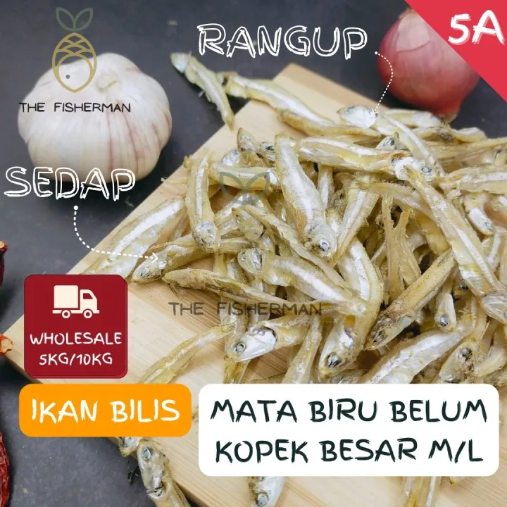 [10KG/Box] [Peniaga] Ikan Bilis Mata Biru Belum Kopek 5A [Terus Dari ...