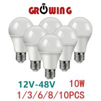 1-10pcs/lot DC/AC 12V-48V LED Bulb E27 B22 Lamps 10W Bombilla For Solar Led Light Bulbs 12 Volts Low Voltages Lamp Lighting