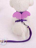 Pet Harness Angel Wing Cat Puppy Leash Set Soft Safe Adjustable Outdoor Walking Leads Rope For Small Animals Pet Accessories Leashes