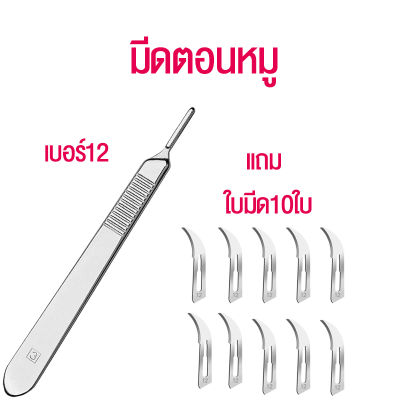 มีดผ่าตัด เบอร์ 12 มีดตอนหมู สแตนเลส มีดตัดแต่ง มีดผ่าตัด พร้อมใบมีด 10 ใบ แถมกล่องใส่มีผ่าตัด ปลอดภัย