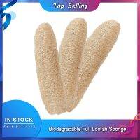 Loofah Exfoliation Biodegradable Sponge Cellulose Board Scrubber