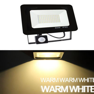 PIR Motion sensor light AC220 10W 20W 30W 50W 100w 150w 200w garden search Wall lamp led flood light outdoor projector Landscape