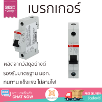 รุ่นใหม่ล่าสุด เบรกเกอร์ เบรกเกอร์ไฟฟ้า เบรกเกอร์ 1 เฟส ABB SH201C16 16 แอมป์ คุณภาพสูงมาก ผลิตจากวัสดุอย่างดี ไม่ลามไฟ รองรับมาตรฐาน มอก. Circuit Breakers จัดส่งฟรีทั่วประเทศ