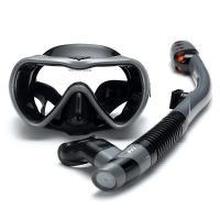 Leakproof Snorkel Set Anti-fog Swimming Snorkeling Goggles Glasses with Easy Breath Dry Snorkel Tube Swimming Scuba Diving Mask