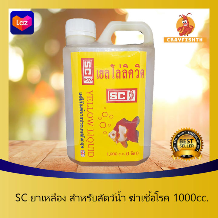 sc-ยาเหลือง-สำหรับสัตว์น้ำ-ฆ่าเชื้อโรค-1000cc