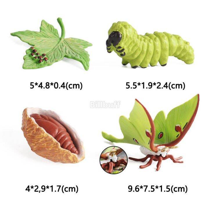 zzooi-latest-lifelike-animals-panda-moth-life-cycle-insect-penguin-frog-figurines-diy-action-figures-early-education-toys-for-children