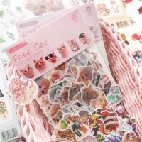 Apanda 100pcs Cute Sticker Bullet Journal Decorative Writable Paper Stickers Scrapbooking Stick Label Diary Stationery Album Stickers