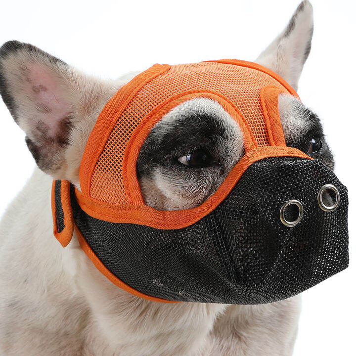 Short snout dog outlet muzzle