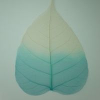 โครงใบไม้ ใบโพธิ์ สี Natural/Turquoise (Standard Bo Skeleton Leaves)