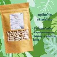 กล้วยน้ำว้าดิบ ขนาด 50 / 100 แคป ( 500 มก.) สมุนไพรแท้ 100% ไม่ผสม ปลอดสาร สินค้าวิสาหกิจชุมชน