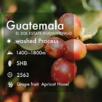 สารกาแฟ Guatemala 2564 100% SHB EL / Washed process 1000g