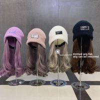 【YD】 Trend Curly Wig Hats Knitted Hat Invisible Detachable Cold Warm Bonnets